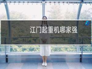 江门起重机哪家强