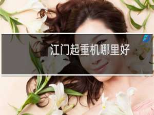江门起重机哪里好