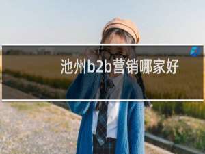 池州b2b营销哪家好