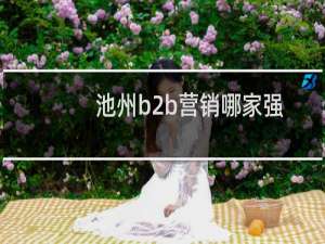 池州b2b营销哪家强