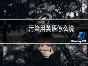 污染用英语怎么说