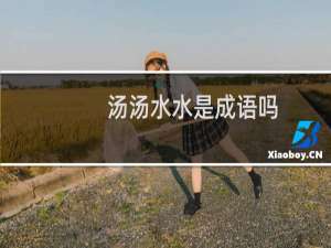 汤汤水水是成语吗