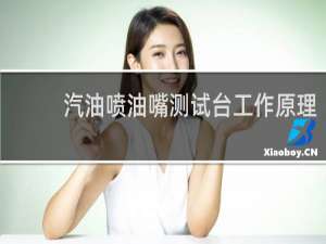 汽油喷油嘴测试台工作原理