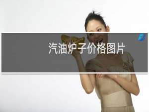 汽油炉子价格图片