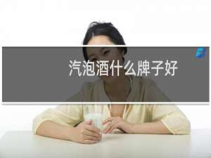 汽泡酒什么牌子好