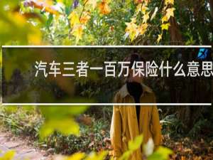 汽车三者一百万保险什么意思