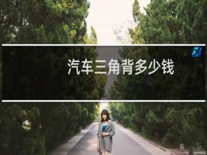 汽车三角背多少钱