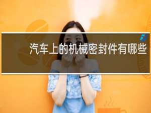 汽车上的机械密封件有哪些