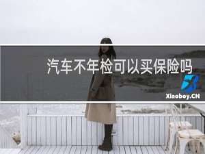 汽车不年检可以买保险吗