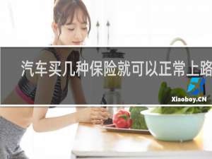 汽车买几种保险就可以正常上路了