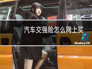 汽车交强险怎么网上买