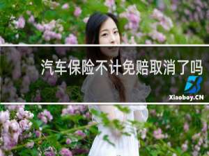 汽车保险不计免赔取消了吗