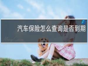 汽车保险怎么查询是否到期