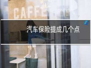 汽车保险提成几个点