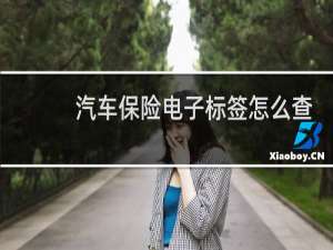 汽车保险电子标签怎么查