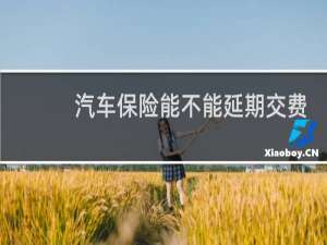 汽车保险能不能延期交费