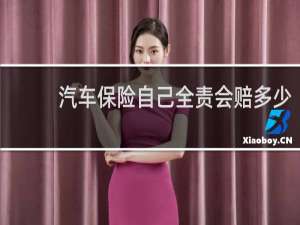 汽车保险自己全责会赔多少