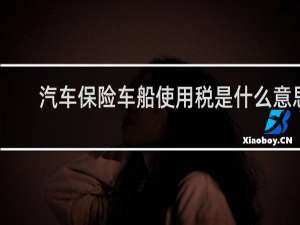 汽车保险车船使用税是什么意思