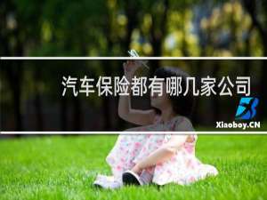 汽车保险都有哪几家公司