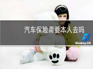 汽车保险需要本人去吗