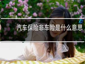 汽车保险非车险是什么意思
