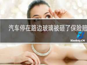 汽车停在路边玻璃被砸了保险赔吗