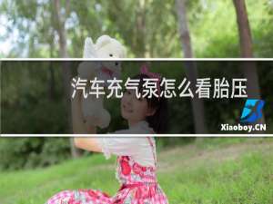 汽车充气泵怎么看胎压