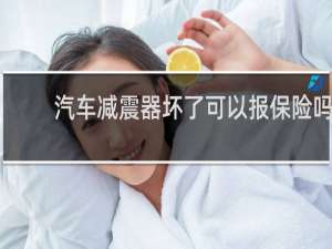 汽车减震器坏了可以报保险吗