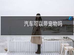 汽车可以带宠物吗