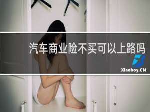 汽车商业险不买可以上路吗