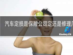 汽车定损是保险公司定还是修理厂定