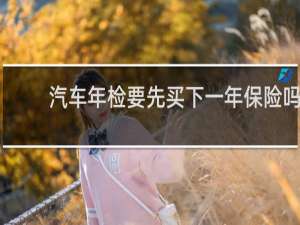 汽车年检要先买下一年保险吗