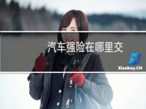 汽车强险在哪里交