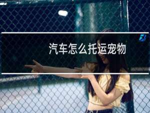 汽车怎么托运宠物