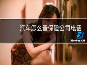 汽车怎么查保险公司电话