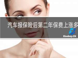汽车报保险后第二年保费上涨多少