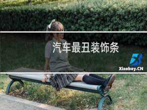汽车最丑装饰条