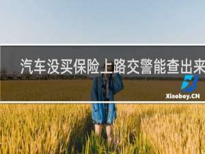 汽车没买保险上路交警能查出来吗