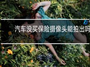 汽车没买保险摄像头能拍出吗