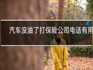 汽车没油了打保险公司电话有用吗