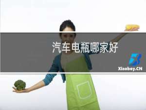 汽车电瓶哪家好