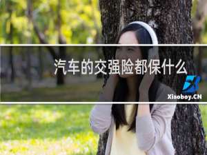 汽车的交强险都保什么