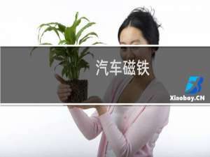 汽车磁铁
