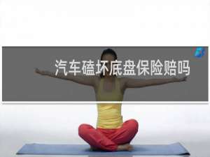 汽车磕坏底盘保险赔吗