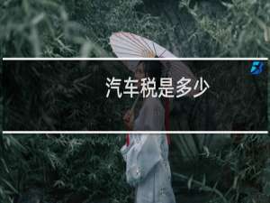 汽车税是多少