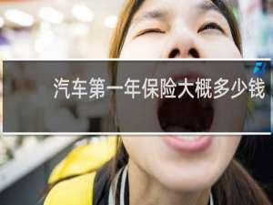 汽车第一年保险大概多少钱