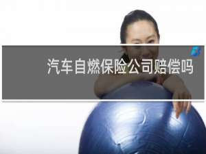 汽车自燃保险公司赔偿吗