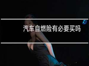 汽车自燃险有必要买吗