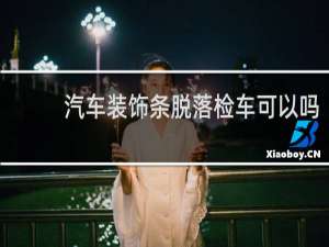 汽车装饰条脱落检车可以吗