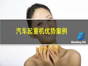 汽车起重机优势案例